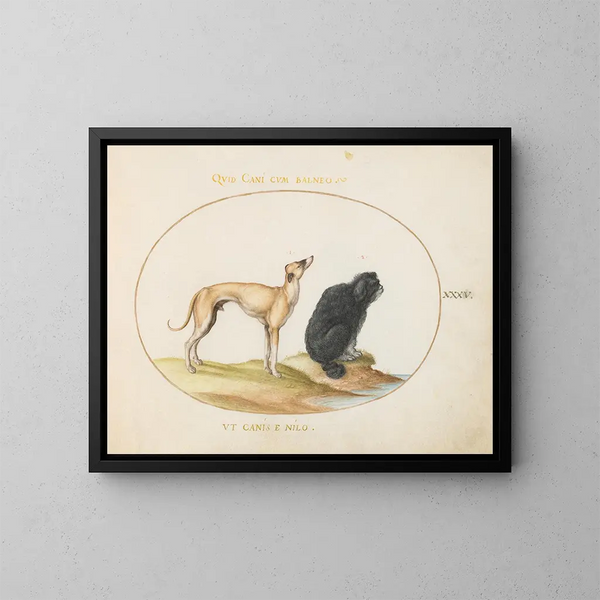 Un cane da caccia e un cane d'acqua - Joris Hoefnagel — quadro incorniciato alla parete