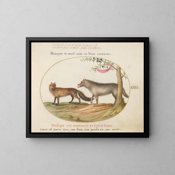 Un renard rouge et un loup - Joris Hoefnagel — quadro incorniciato alla parete