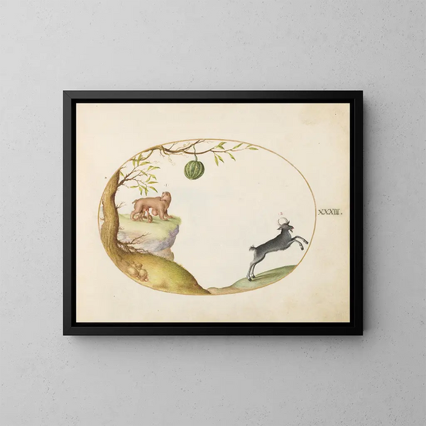 Un opossum simivulpa e un ibex - Joris Hoefnagel — quadro incorniciato alla parete