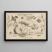 Archetypa studiaque patris Georgii Hoefnagelii Pl03 - Joris Hoefnagel — quadro incorniciato alla parete