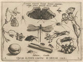 Joris Hoefnagel - Archetypa studiaque patris Georgii Hoefnagelii Pl24.webp