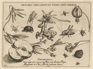 Joris Hoefnagel - Archetypa studiaque patris Georgii Hoefnagelii Pl27.webp