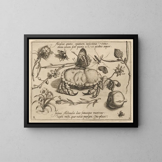 Joris Hoefnagel - Archetypa studiaque patris Georgii Hoefnagelii Pl36.webp
