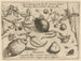 Archétypes e studi del padre Georgius Hoefnagel Pl43 - Joris Hoefnagel — vista dell’opera