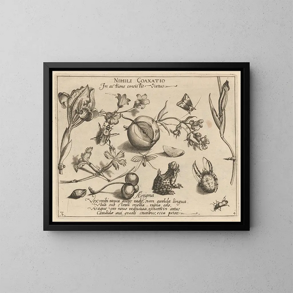 Archétypes e studi del padre Georgius Hoefnagel - Joris Hoefnagel — quadro incorniciato alla parete