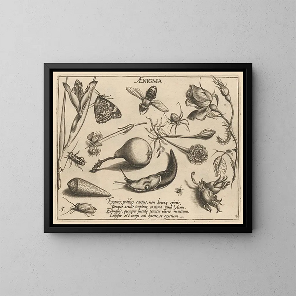 Archétypes e studi del padre Georgius Hoefnagel Pl46 - Joris Hoefnagel — quadro incorniciato alla parete
