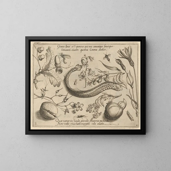 Archetipi e studi del padre Georgius Hoefnagel - Joris Hoefnagel — quadro incorniciato alla parete
