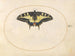 Planche 07 Papillon coda di swallowtail - Joris Hoefnagel — vista dell’opera