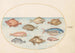 Planche 18 Pesce-maiale, pesce rasoir, pesce burro, un Saint-Pierre e altri pesci - Joris Hoefnagel — vista dell’opera