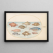 Planche 18 Pesce-maiale, pesce rasoir, pesce burro, un Saint-Pierre e altri pesci - Joris Hoefnagel — quadro incorniciato alla parete