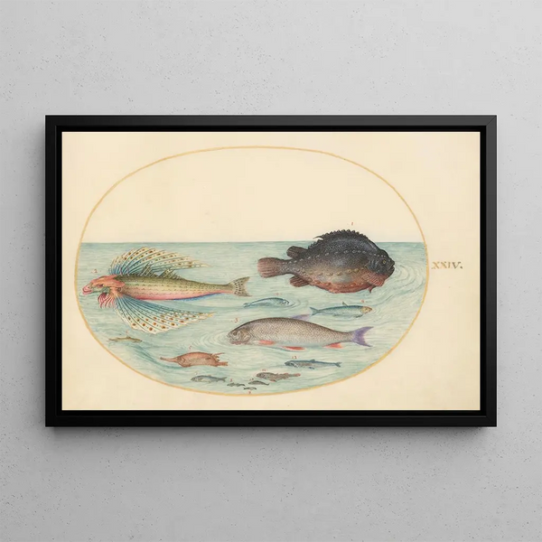 Joris Hoefnagel - Plate 24 Flying Swallow Gurnard Male Lumpsucker Longspine Snipefish and Other Fish.webp