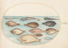 Planche 33 Sole e altri pesci piatti con pesce a nastro - Joris Hoefnagel — vista dell’opera