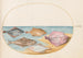 Planche 35 Le basi del turbot e di altri pesci piatti - Joris Hoefnagel — vista dell’opera