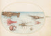Planche 45 Homard Squilla Mantis e altri crostacei - Joris Hoefnagel — vista dell’opera