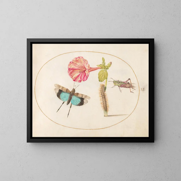 Platino 51 Zanzare e una larva con un fiore di quattro ore - Joris Hoefnagel — quadro incorniciato alla parete