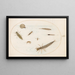 Planche 55 Insetti acquatici e invertebrati, inclusa una lumaca - Joris Hoefnagel — quadro incorniciato alla parete