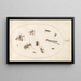 Planche 64, undici insetti tra cui una libellula e un longicorne - Joris Hoefnagel — quadro incorniciato alla parete
