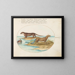 Joris Hoefnagel - Two Otters and a Beaver.webp