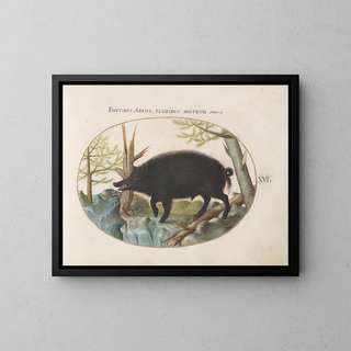 Joris Hoefnagel - Wild Boar.webp