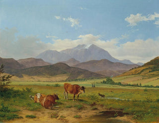 Paesaggio con Schneeberg - Josef Feid — vista dell’opera