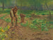 Raccolta di patate - Josef Kinzel — vista dell’opera