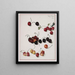 Ciliegie - Josef Lauer — quadro incorniciato alla parete