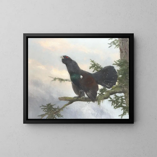 Tétrao urogallo - Josef Schmitzberger — quadro incorniciato alla parete
