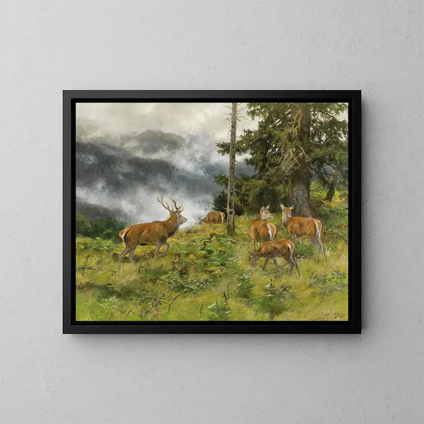 Cervo nella nebbia del mattino - Josef Schmitzberger — quadro incorniciato alla parete