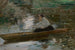 Donna in una barca - Josef Schusser — vista dell’opera