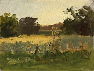 Au Simssee - Josef Wenglein — vista dell’opera