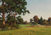 nel campo - Josef Willroider — vista dell’opera