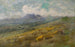 Paesaggio - Josep Berga i Boix — vista dell’opera