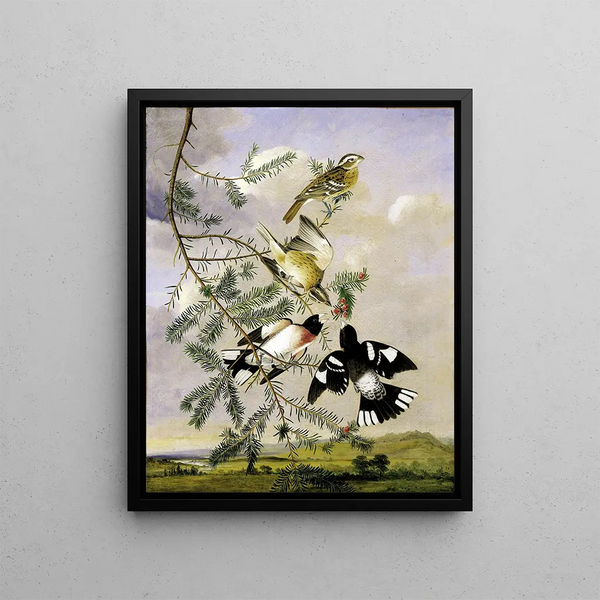 Joseph Bartholomew Kidd - RoseBreasted Grosbeak.webp