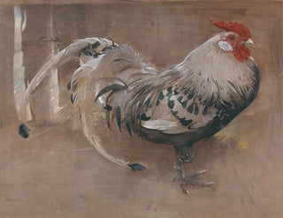 Il gallo glitterato - Joseph Crawhall — vista dell’opera