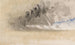 Le Carnet de Croquis de la Manche 35 - Joseph Mallord William Turner — vista dell’opera