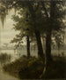 Scène di palude - Joseph Rusling Meeker — vista dell’opera