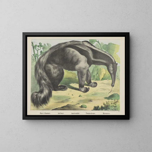 Formichiere - Joseph Scholz — quadro incorniciato alla parete