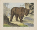 Orso - Joseph Scholz — vista dell’opera
