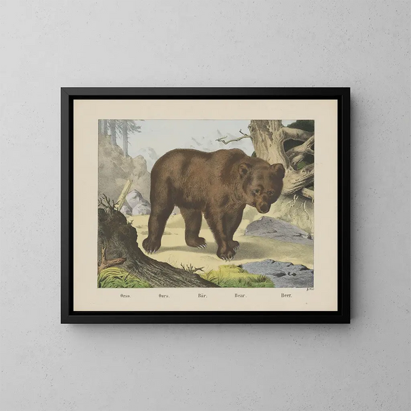 Orso - Joseph Scholz — quadro incorniciato alla parete