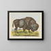 Bison - Joseph Scholz — quadro incorniciato alla parete