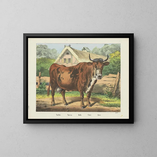 Joseph Scholz - Cow.webp