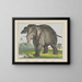 Elefante - Joseph Scholz — quadro incorniciato alla parete