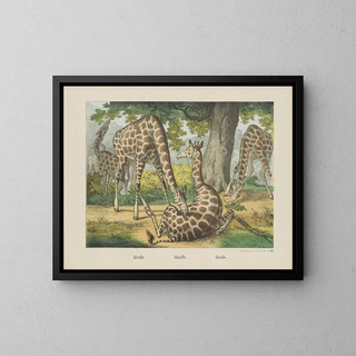 Joseph Scholz - Giraffe.webp