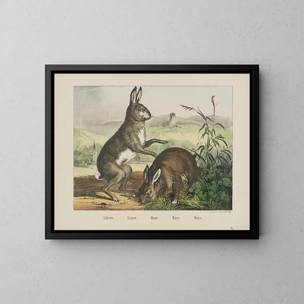 Lepre - Joseph Scholz — quadro incorniciato alla parete