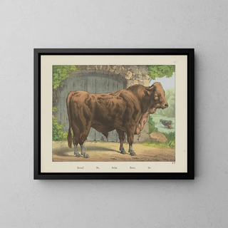 Joseph Scholz - Ox.webp