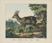 Roe - Joseph Scholz — vista dell’opera