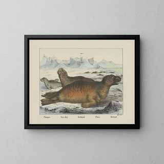 Joseph Scholz - Seadog.webp