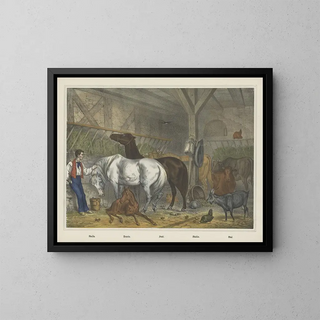 Stalla - Joseph Scholz — quadro incorniciato alla parete
