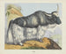 Yack - Joseph Scholz — vista dell’opera