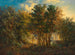 Foresta tropicale australiana - Joseph Selleny — vista dell’opera